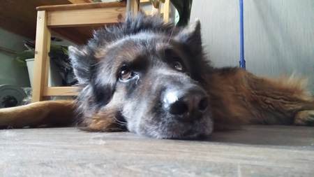 450x253  44 KB. Big one: 3264x1836  1140 KB