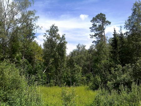 450x338  61 KB. Big one: 2560x1920  1759 KB