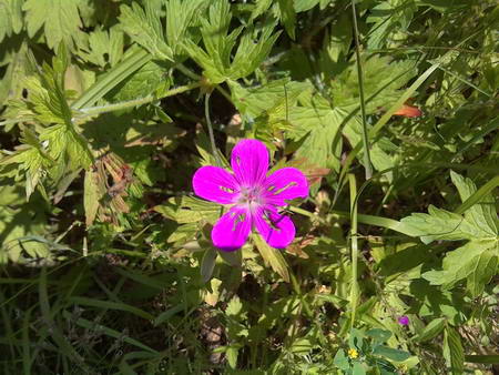 450x338  61 KB. Big one: 2560x1920  1263 KB