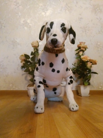 336x448  53 KB. Big one: 2448x3264  1434 KB