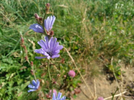 448x336  75 KB. Big one: 4160x3120  3089 KB