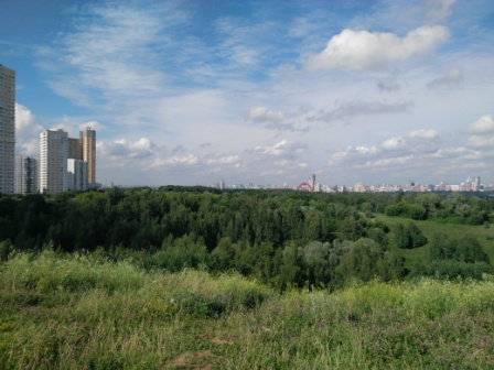 448x336  67 KB. Big one: 4160x3120  4721 KB