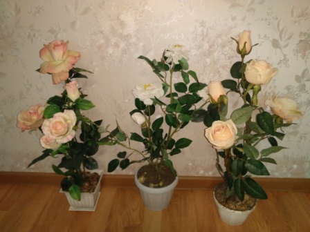 448x336  62 KB. Big one: 4160x3120  3042 KB