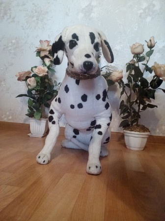 336x448  62 KB. Big one: 1920x2560  1354 KB