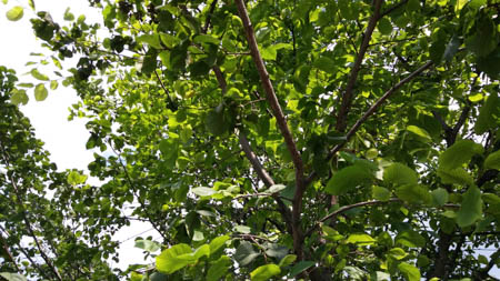 450x253  52 KB. Big one: 4160x2340  3396 KB