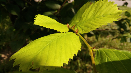 450x253  49 KB. Big one: 4160x2340  1588 KB