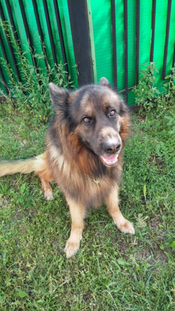 253x450  56 KB. Big one: 2340x4160  3661 KB