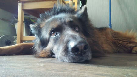 450x253  45 KB. Big one: 3264x1836  837 KB