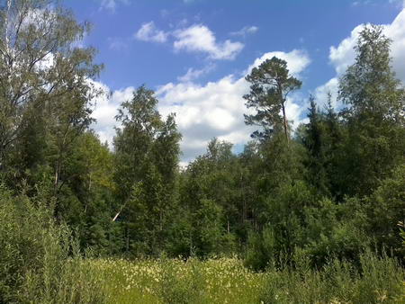 450x338  54 KB. Big one: 2560x1920  1546 KB