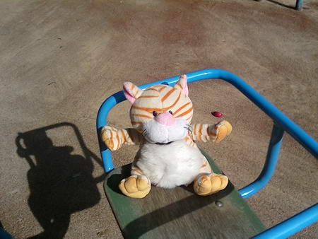 450x338  41 KB. Big one: 1600x1200  499 KB