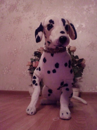 336x448  54 KB. Big one: 2448x3264  1832 KB