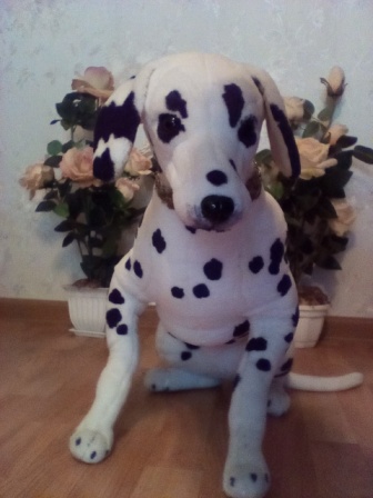 336x448  55 KB. Big one: 1920x2560  1284 KB