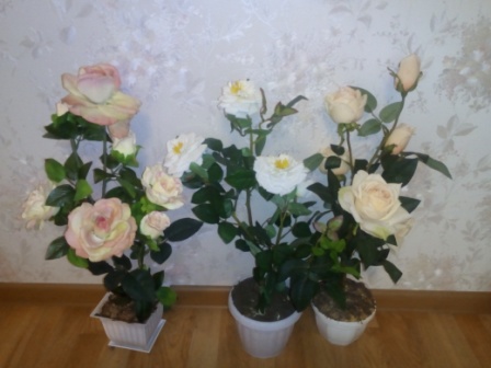 448x336  55 KB. Big one: 4160x3120  2366 KB