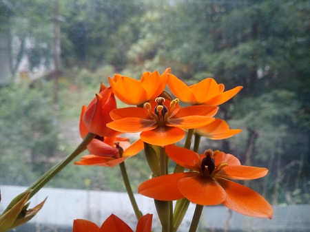 450x337  46 KB. Big one: 3264x2448  2418 KB