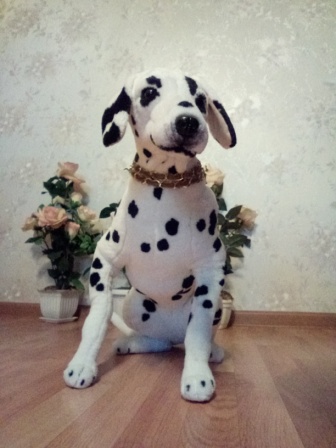 336x448  59 KB. Big one: 2448x3264  1583 KB