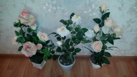 448x252  51 KB. Big one: 5632x3168  3809 KB