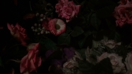 448x252  31 KB. Big one: 5632x3168  1554 KB