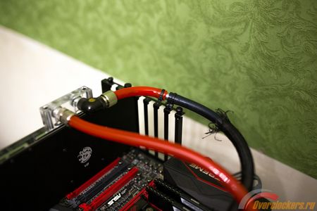 450x300  47 KB. Big one: 2250x1500  715 KB