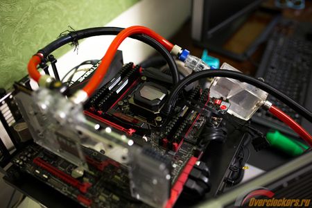 450x300  63 KB. Big one: 2250x1500  736 KB