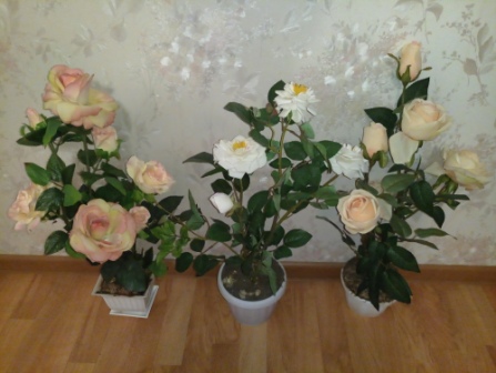 447x336  66 KB. Big one: 4000x3008  4742 KB