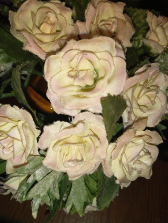 336x447  76 KB. Big one: 3008x4000  4242 KB