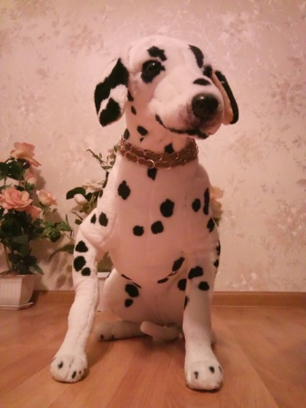 336x448  62 KB. Big one: 1920x2560  1702 KB