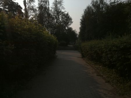 450x338  31 KB. Big one: 2560x1920  813 KB