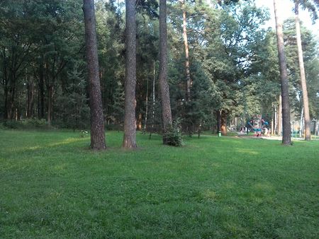 450x338  62 KB. Big one: 2560x1920  1562 KB