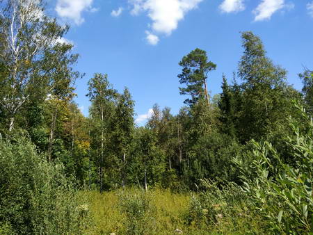 450x338  60 KB. Big one: 4160x3120  6998 KB