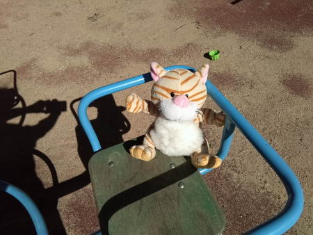 450x338  48 KB. Big one: 3264x2448  3579 KB