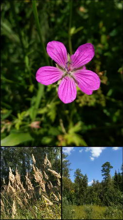 253x450  30 KB. Big one: 1080x1920  341 KB