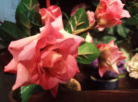 448x332  66 KB. Big one: 4208x3120  3904 KB