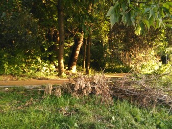 337x253  79 KB. Big one: 3264x2448  3567 KB