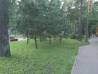 337x253  53 KB. Big one: 3264x2448  3521 KB