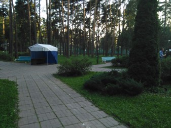 337x253  53 KB. Big one: 3264x2448  2884 KB