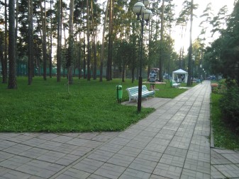 337x253  59 KB. Big one: 3264x2448  3264 KB