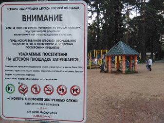 337x253  59 KB. Big one: 3264x2448  3060 KB