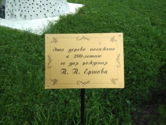 337x253  56 KB. Big one: 3264x2448  2770 KB