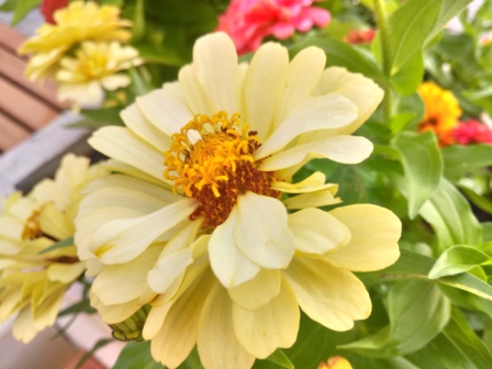 448x336  70 KB. Big one: 5312x3984  6071 KB