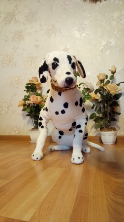 252x448  51 KB. Big one: 2880x5120  2553 KB