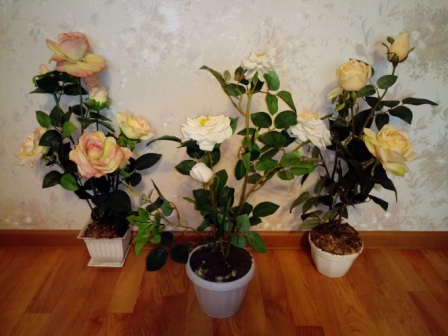 448x336  74 KB. Big one: 5312x3984  4870 KB