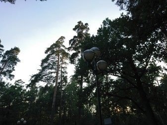 337x253  62 KB. Big one: 5520x4140  8185 KB