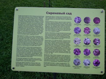 337x253  64 KB. Big one: 5520x4140  9362 KB