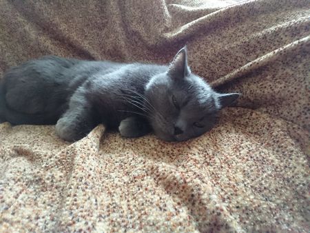 450x338  49 KB. Big one: 4160x3120  1370 KB