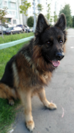 253x450  55 KB. Big one: 1728x3072  2761 KB