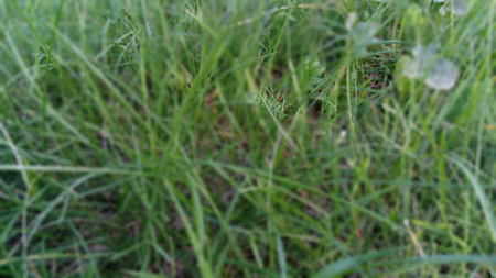 450x253  54 KB. Big one: 3072x1728  3176 KB