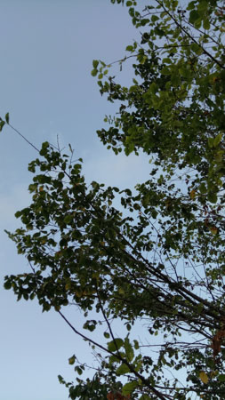 253x450  50 KB. Big one: 2368x4208  2701 KB