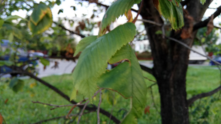 450x253  53 KB. Big one: 4208x2368  2004 KB