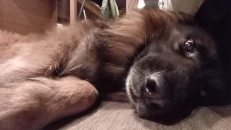 450x253  59 KB. Big one: 2560x1440  983 KB