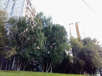 337x253  38 KB. Big one: 3264x2448  4732 KB